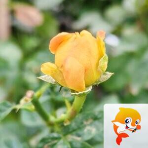 纳兰＿🎤V娱热点