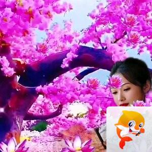 落花轻暂停互动