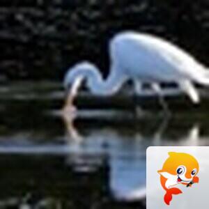 ℒℴѵℯ亮亮ꦿ໊ོ °