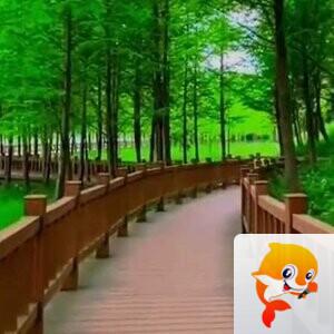 【大秦之腔】ⅤV音乐俱乐部東霞