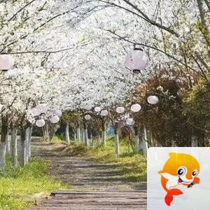 聽聲讀心【雅韵文轩】