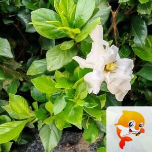 纳兰＿🎤V娱热点