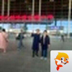 平淡也精彩[爱花家园]