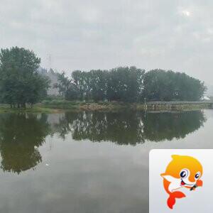 任兴中