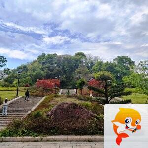 甌越耕耘者【爱花家园】