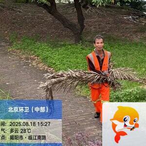 揭阳京环