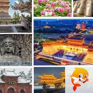 默ൢღ默ོོൢ 
