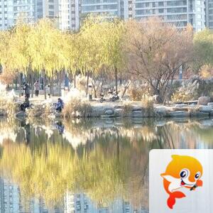 河东阳光（柴广林）