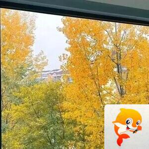 一家亲