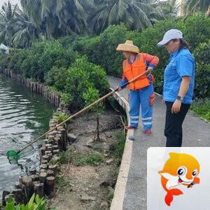 海口京环公司