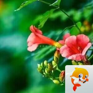 雪儿🎤V娱热点