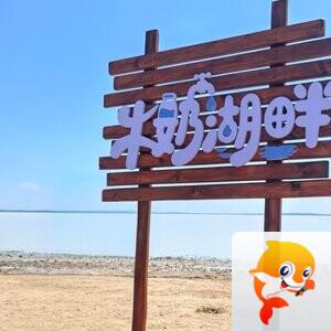 宁静【情暖天涯】