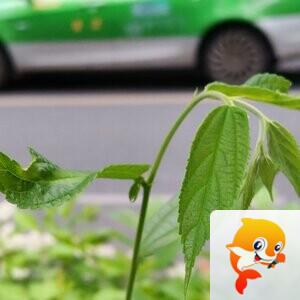 纳兰＿🎤V娱热点