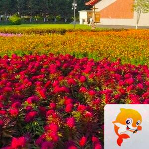 雪儿🎤V娱热点