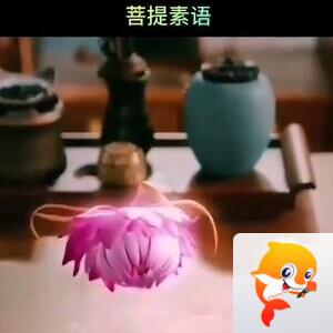 栖凤阁诗词【西窗剪烛】