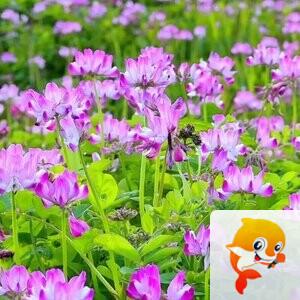 李连山