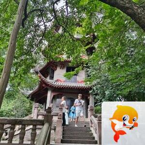 雪儿🎤V娱热点