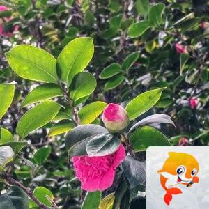 纳兰＿🎤V娱热点