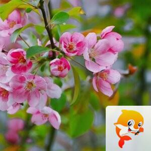 默闻