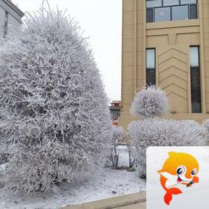 雪儿🎤V娱热点