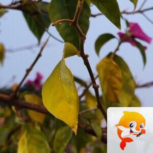 纳兰＿🎤V娱热点