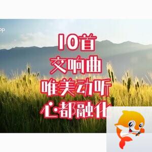 双城两界游走者