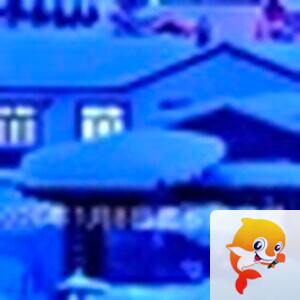 赵守平（摄影）