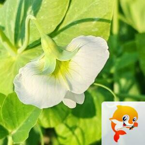 纳兰＿🎤V娱热点