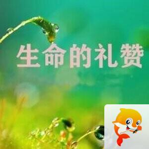 缘子