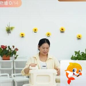 苏宁