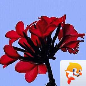 野火烧不尽【美摄视界】