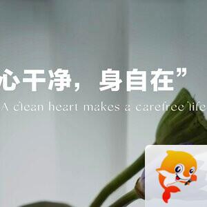 ꕥ公主梦游VV仙境❥ᵛⁱᵈᵉᵒ