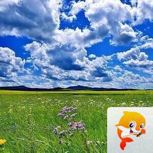 艳儿