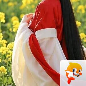 幽兰一箭香(赵放岚)