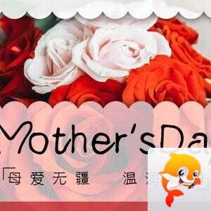 🔥秦人秦风龙游天下