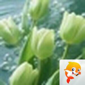 ✾͡别闹❦ཽ冷漠࿐