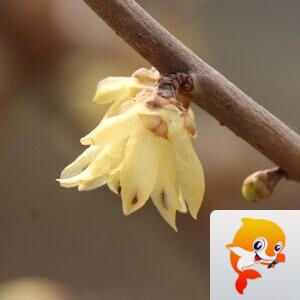 静萍【美摄视界】