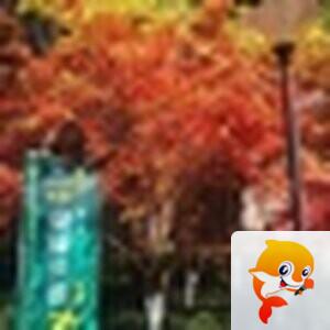 এ᭄拾捌࿐ོ18