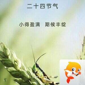 田 野
