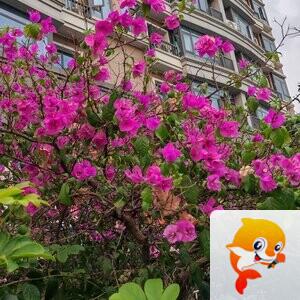 纳兰＿🎤V娱热点