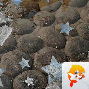 橙C美式
