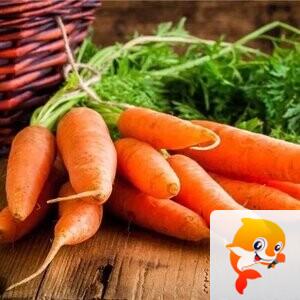 🍁金枝玉叶🍁歌房回礼