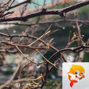 纳兰＿🎤V娱热点