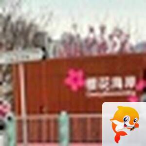 金寶族長👑🪗🎸✨🧚