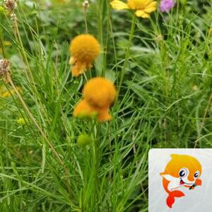 纳兰＿🎤V娱热点