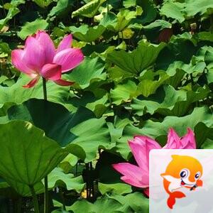  可欣🔥  ࿐ོ秋天࿐ོ