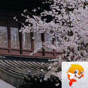 雨后的雾【美摄视界】