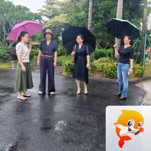 北环京环公司