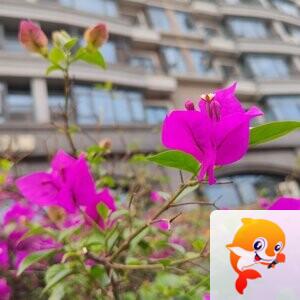 纳兰＿🎤V娱热点