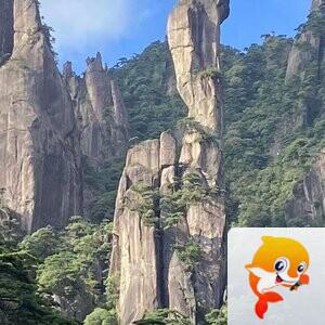 杨继宏
